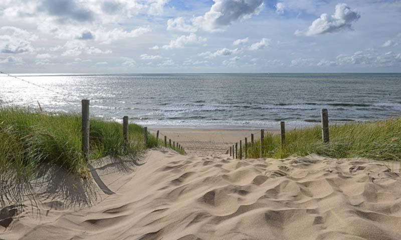 Lovely Bungalow 8P Close To Beach And Amsterdam Opmeer Eksteriør bilde